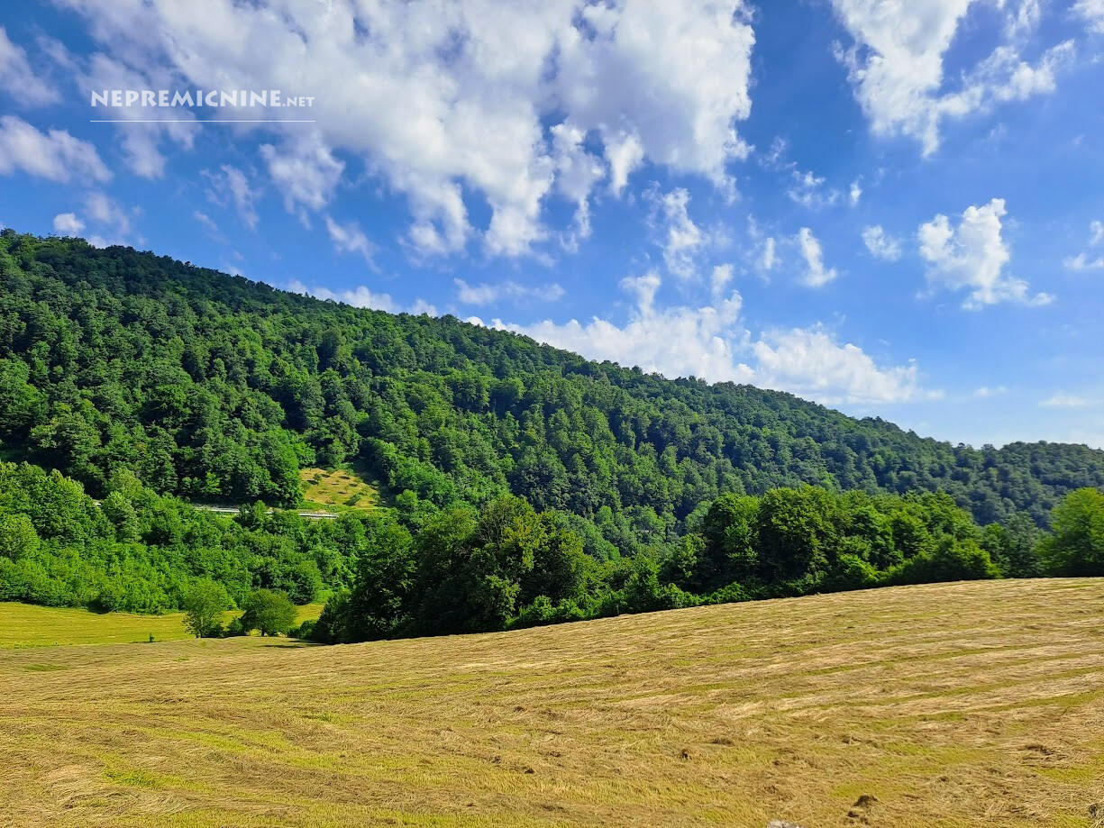 Posestvo z domačijo in 11,7 ha zemljišča