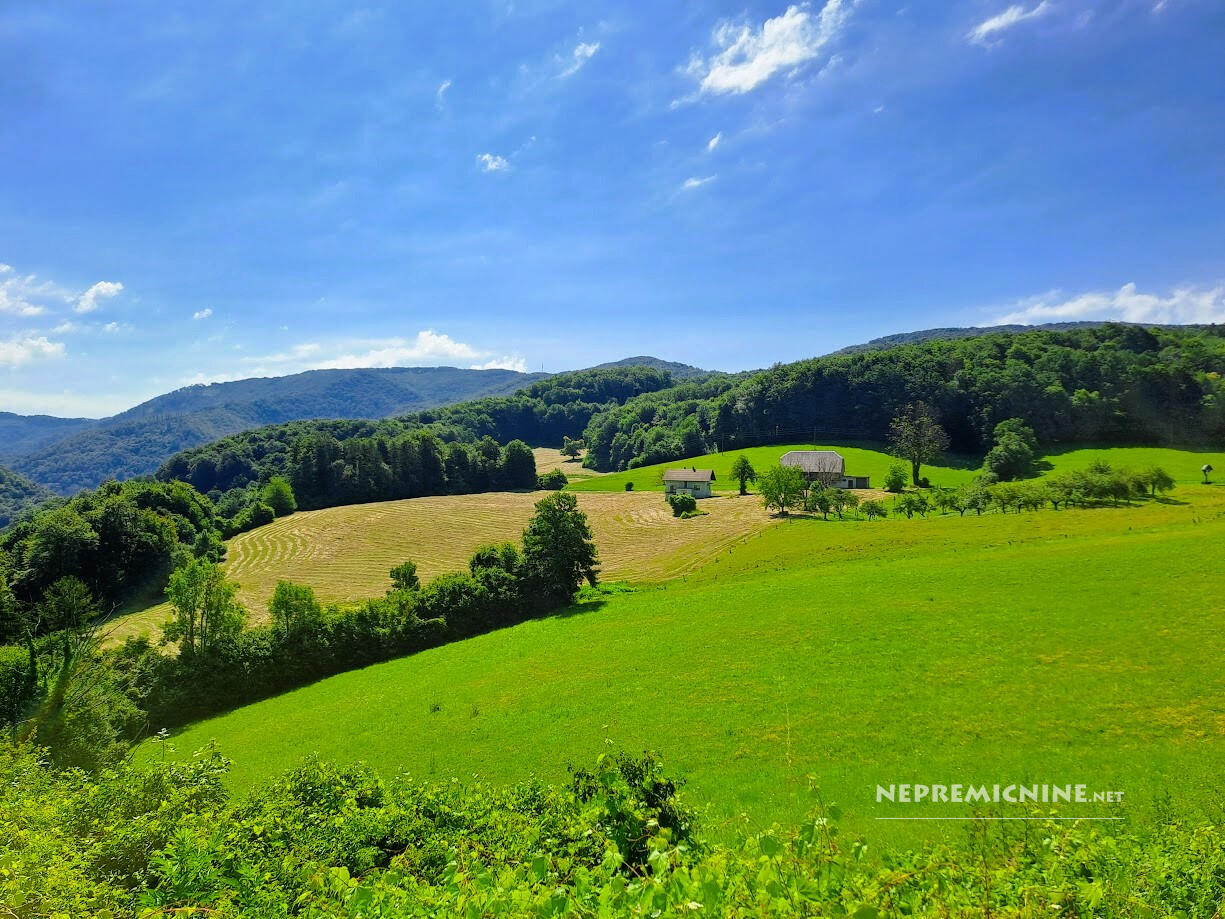 Posestvo z domačijo in 11,7 ha zemljišča