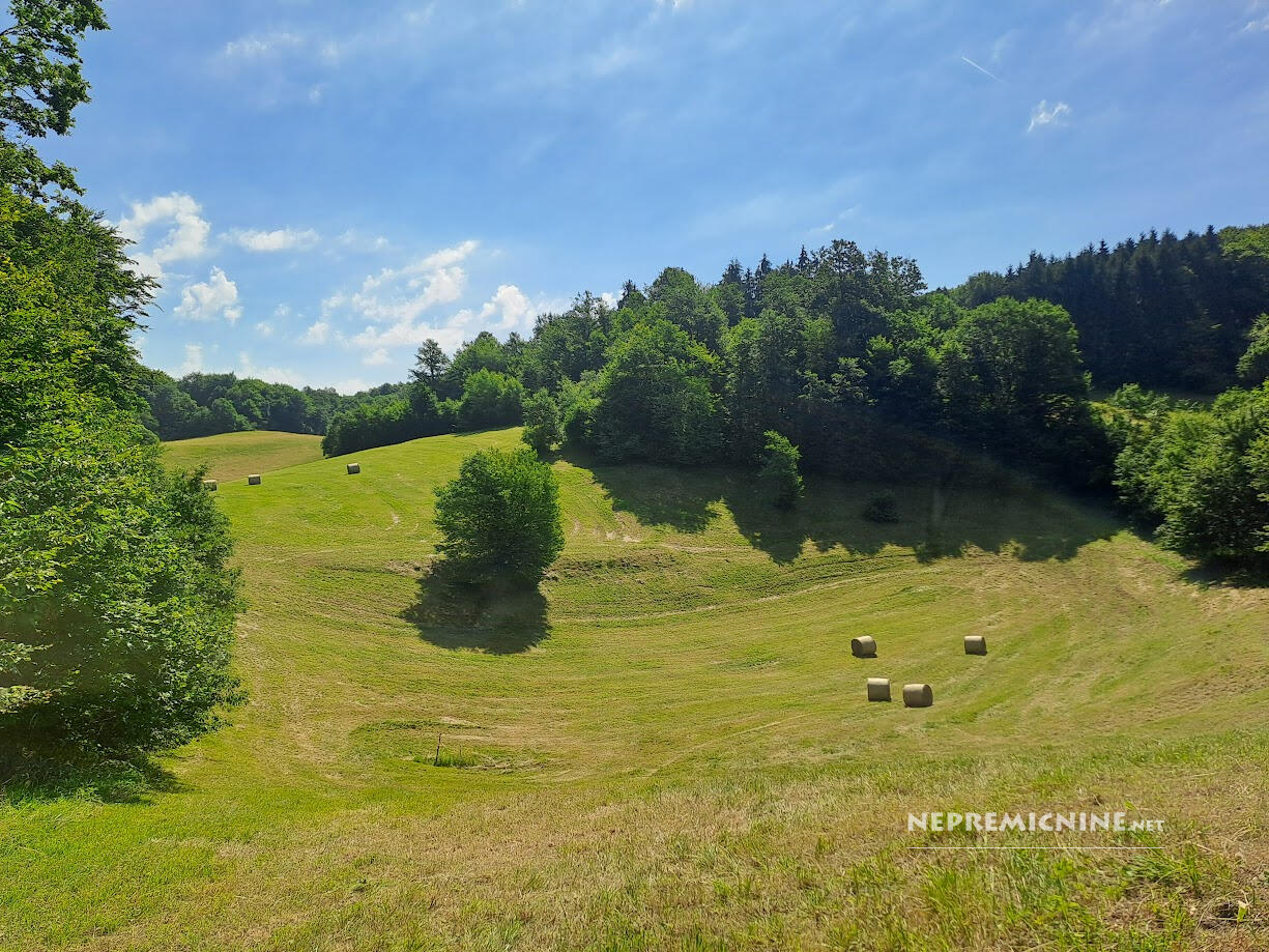 Posestvo z domačijo in 11,7 ha zemljišča
