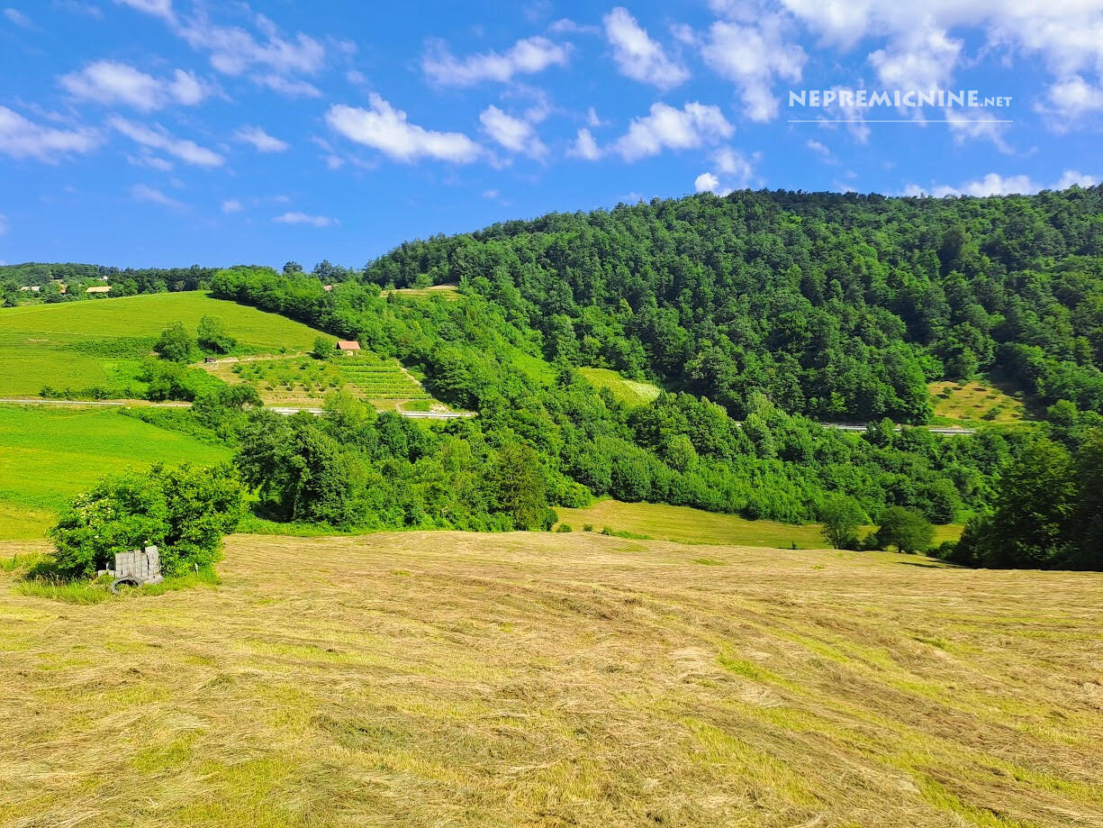 Posestvo z domačijo in 11,7 ha zemljišča